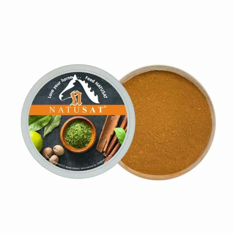 Natusat Chaga Vitalpilz Pulver 100 g – Packshot