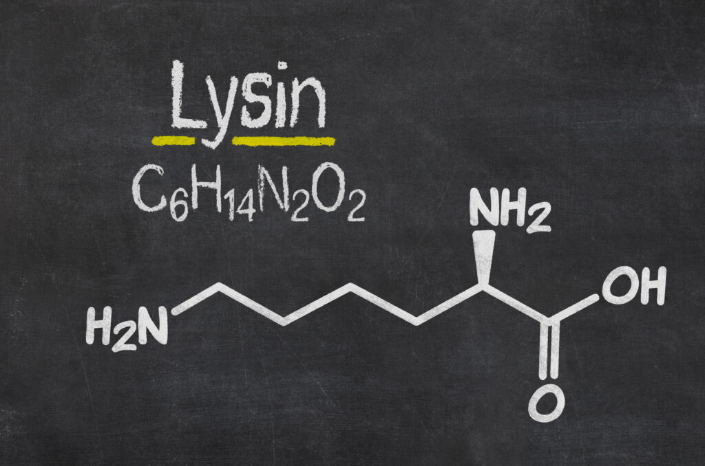 Schiefertafel mit der chemischen Formel von Lysin