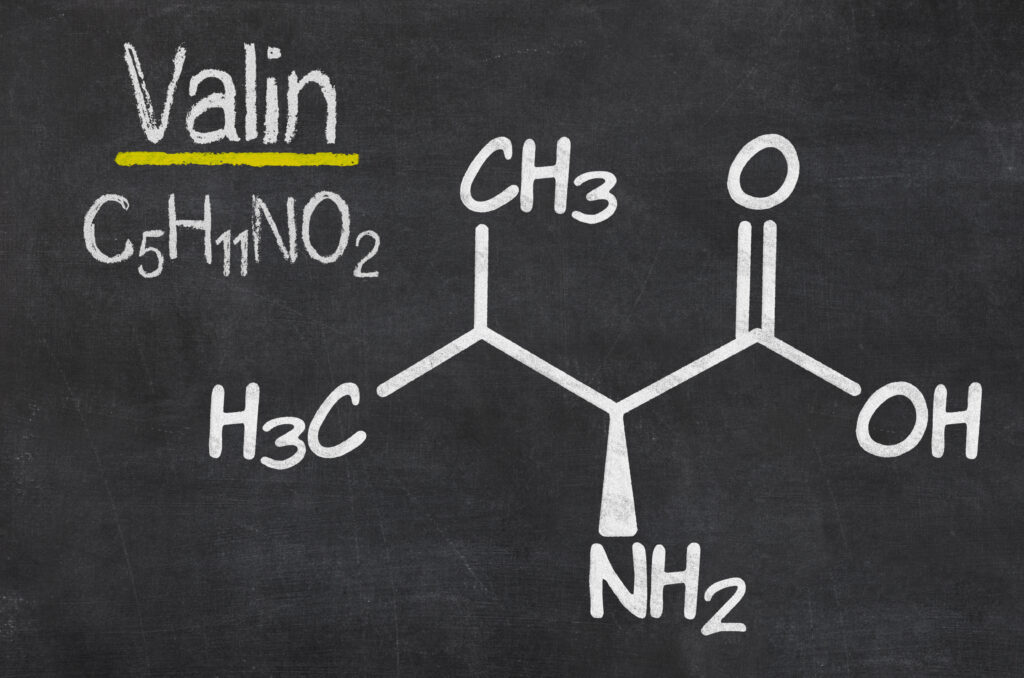 Schiefertafel mit der chemischen Formel von Valin